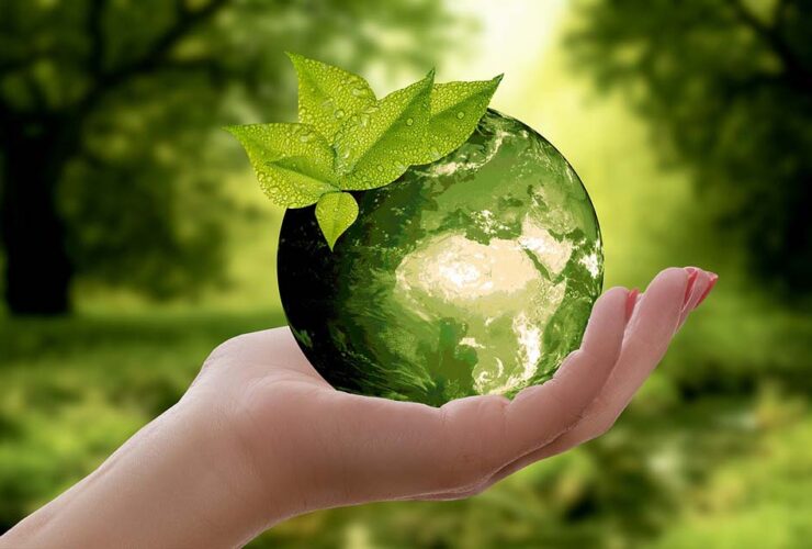 Desarrollo Sostenible: El Futuro de Nuestro Planeta
