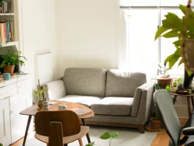 Decoración eco-friendly para transformar tu hogar
