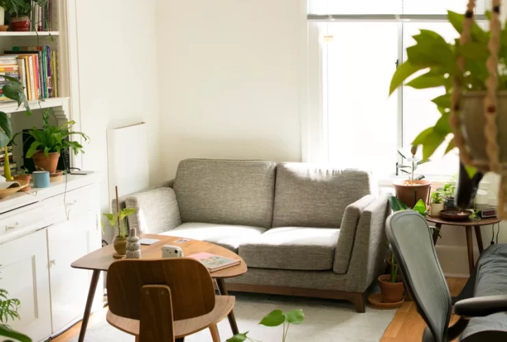 Decoración eco-friendly para transformar tu hogar
